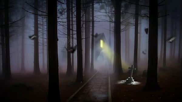 Paranormal Meets Porn S2E1